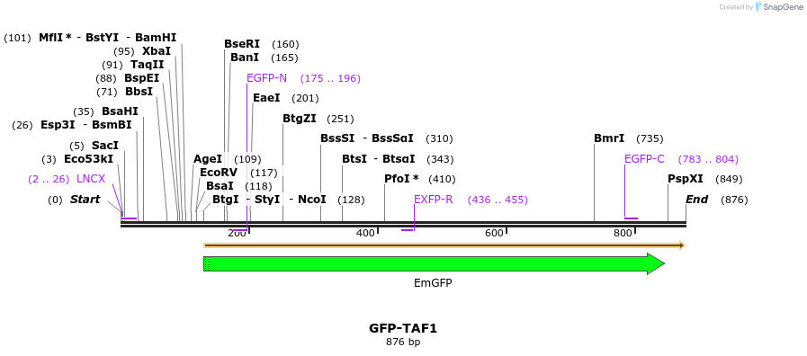 150783_map