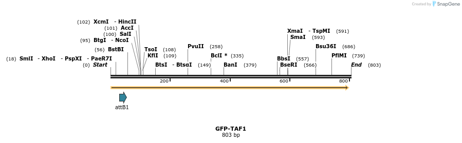 150784_map