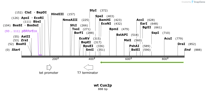 150789_map