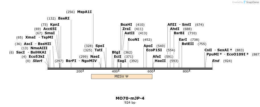 150791_map