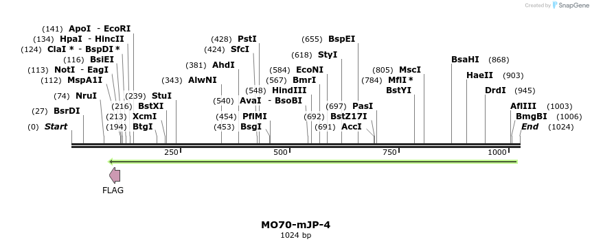 150792_map