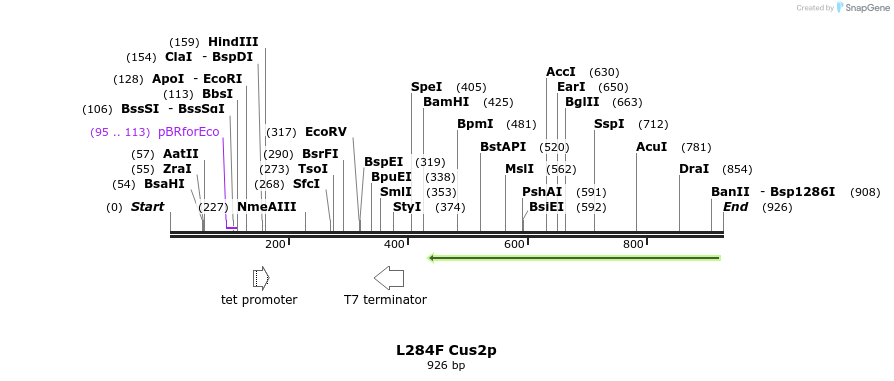 150793_map