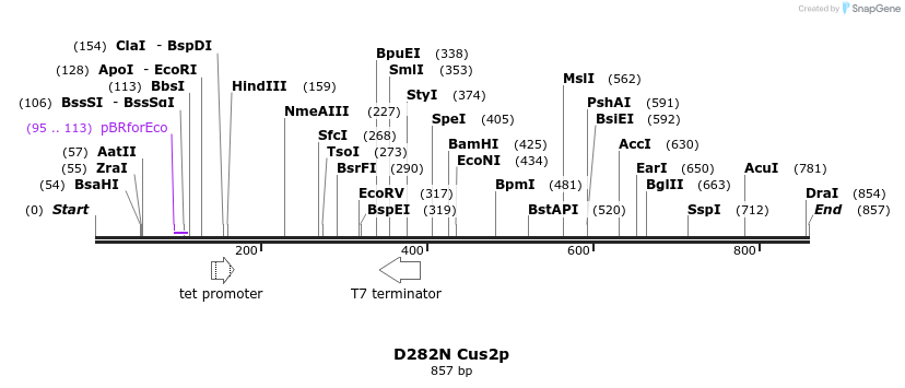 150796_map