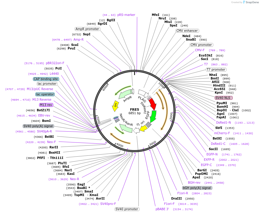 150805_map