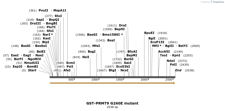 150815_map