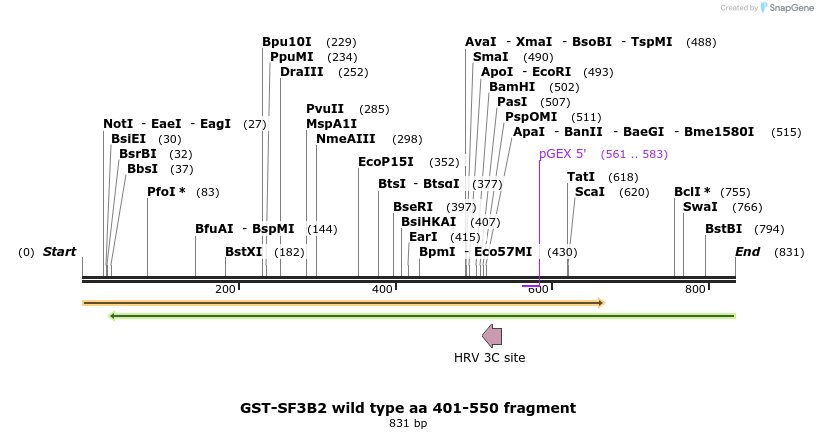 150823_map