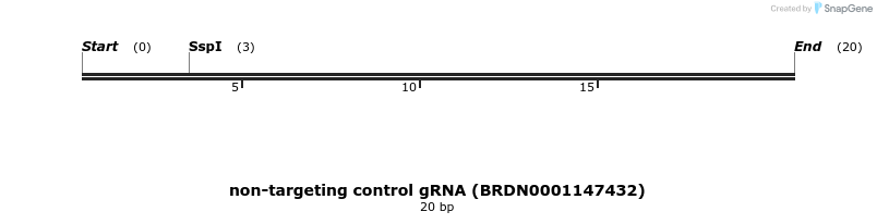 150851_map