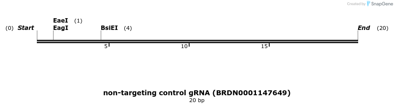 150853_map
