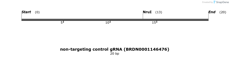 150867_map