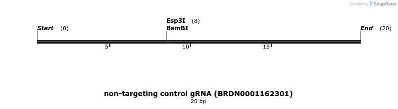 150873_map