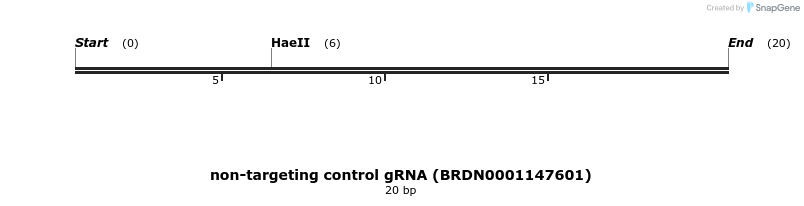 150877_map