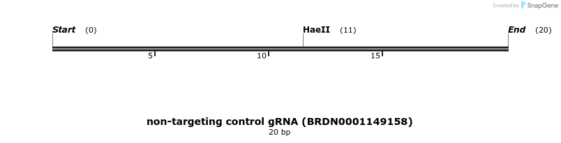 150881_map