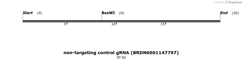 150887_map