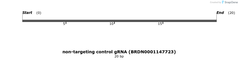150893_map