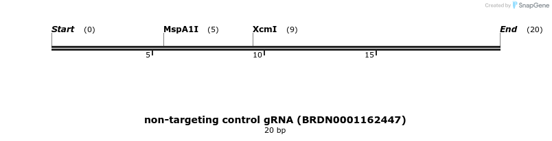 150957_map