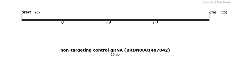 150961_map