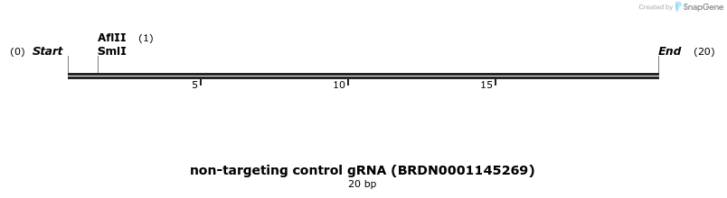 150977_map