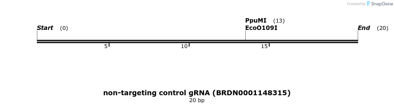 150981_map
