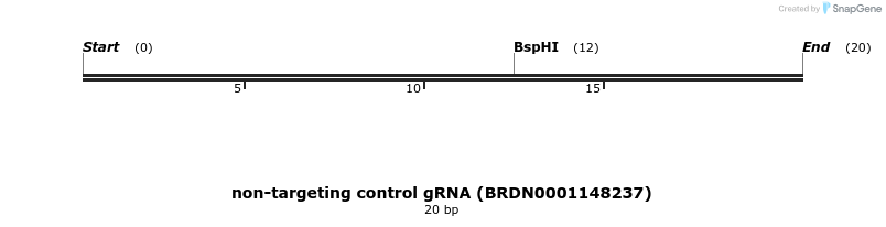150985_map