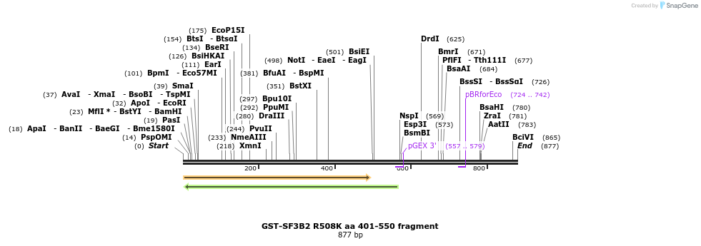 151006_map