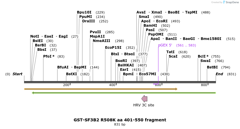 151007_map