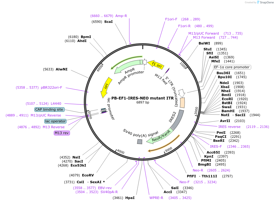 151011_map