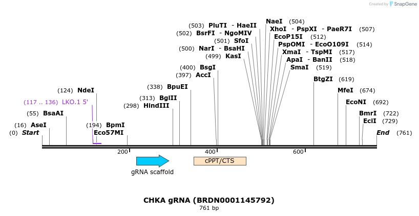 151021_map