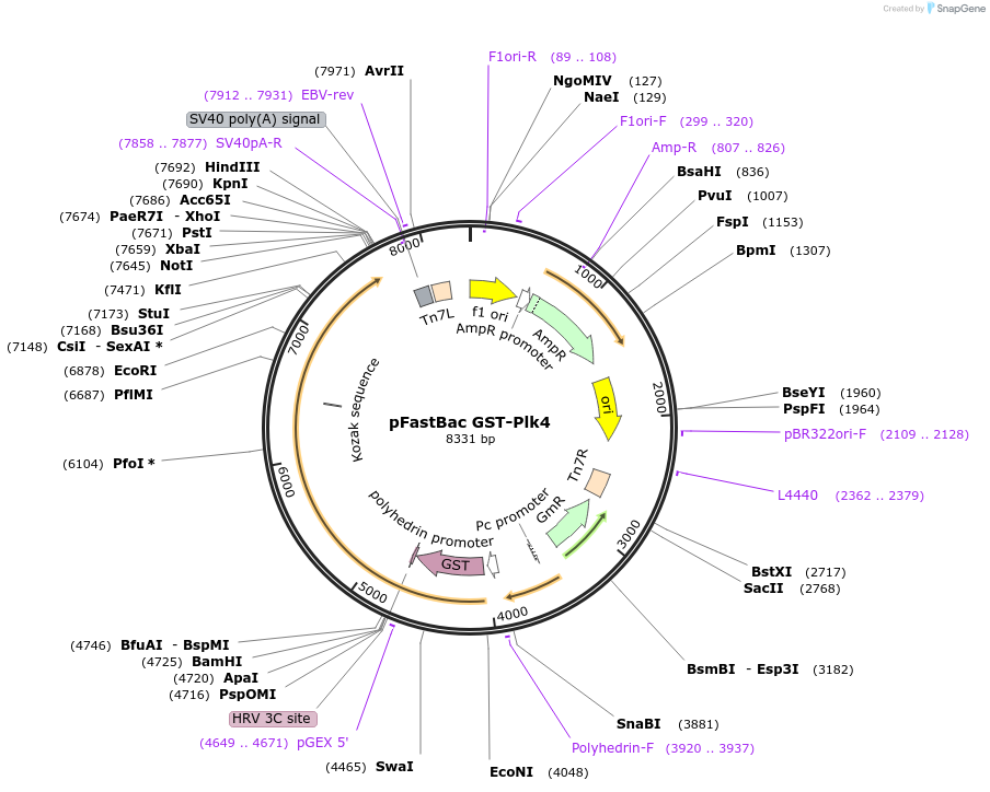 151031_map