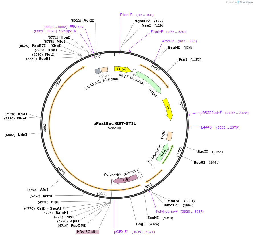 151032_map
