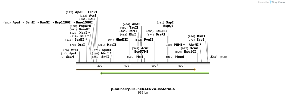 151037_map