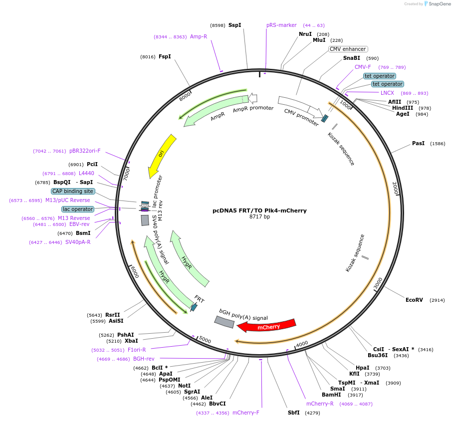 151039_map