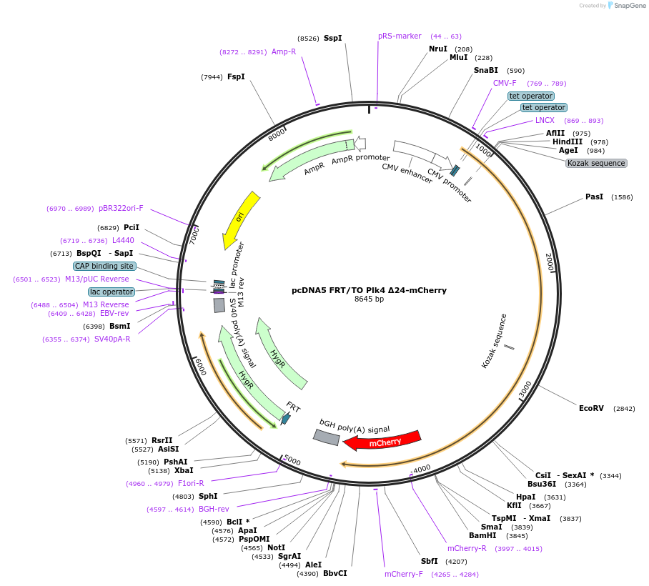 151041_map