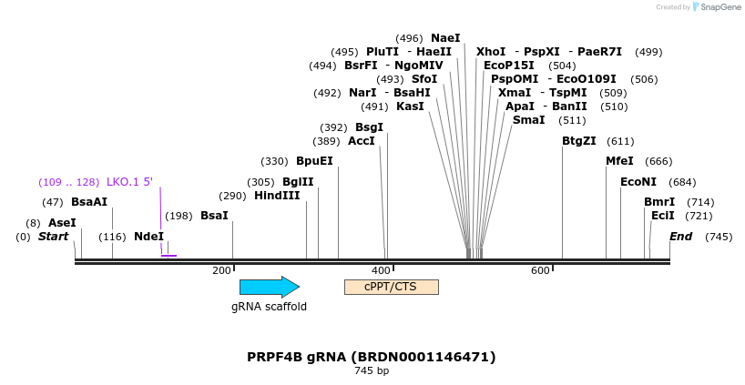 151044_map