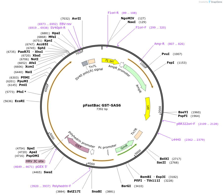 151046_map