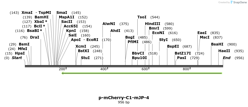 151047_map