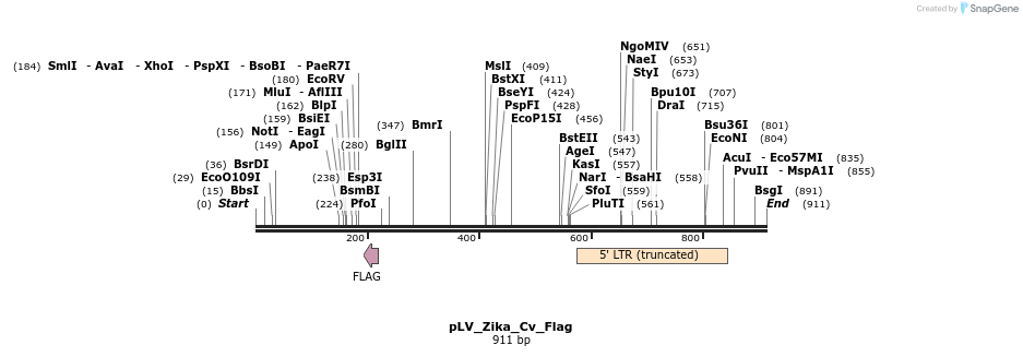 151050_map