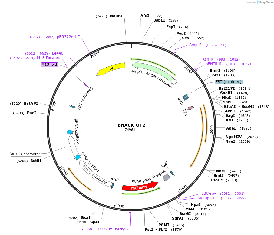 151052_map