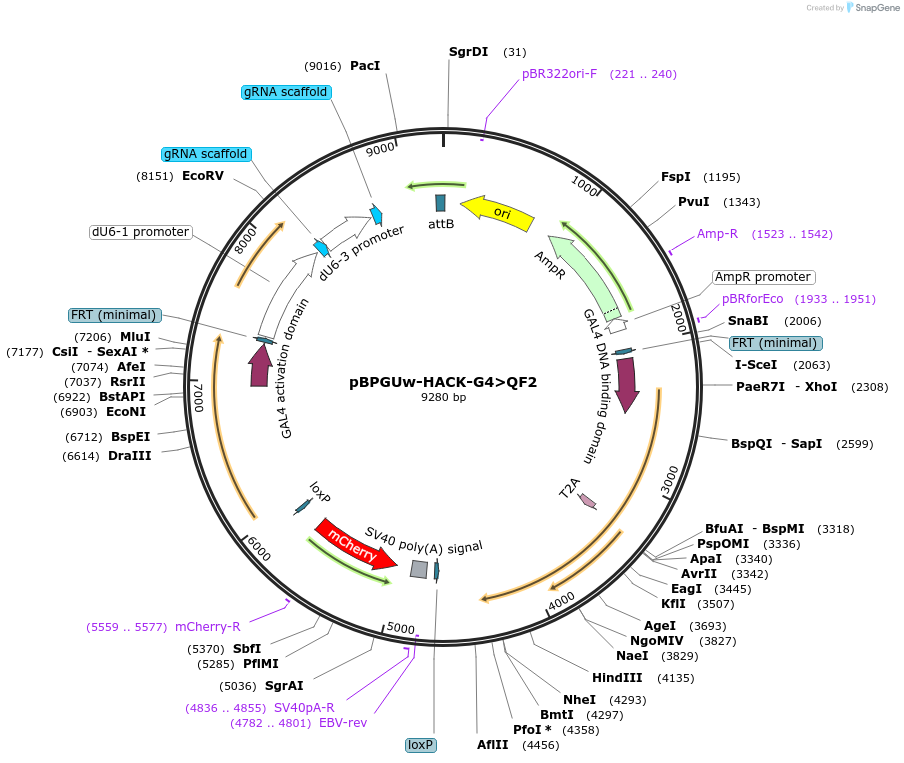 151055_map