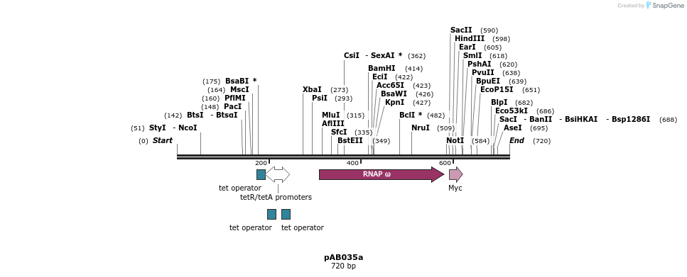 151067_map