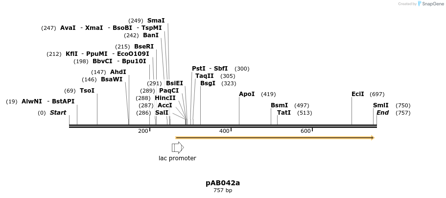 151071_map