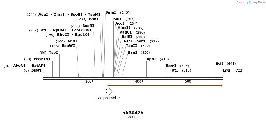 151074_map