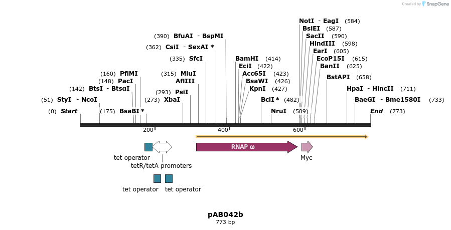 151075_map