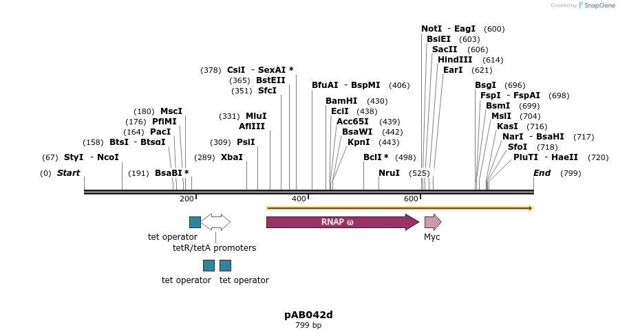 151081_map