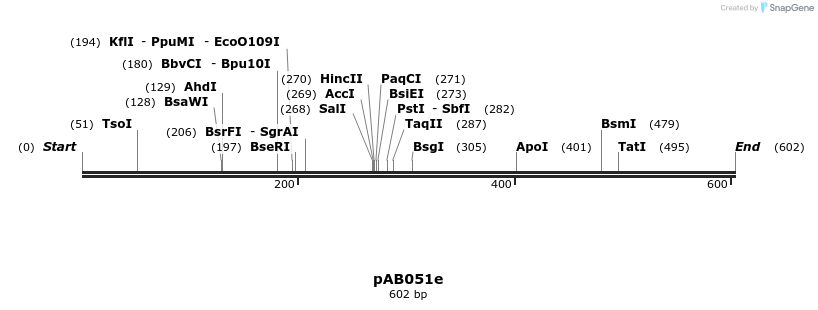 151082_map