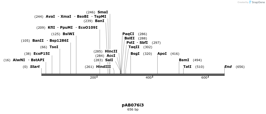 151086_map