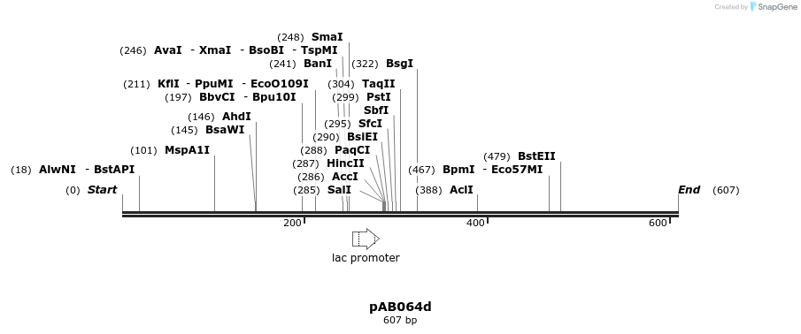 151089_map