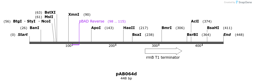 151091_map