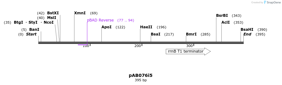 151093_map