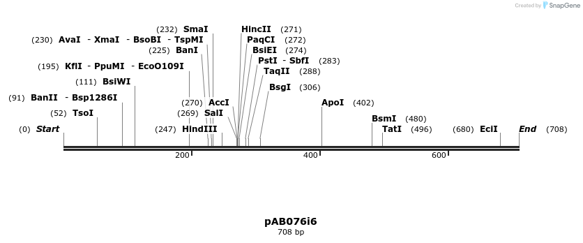 151096_map