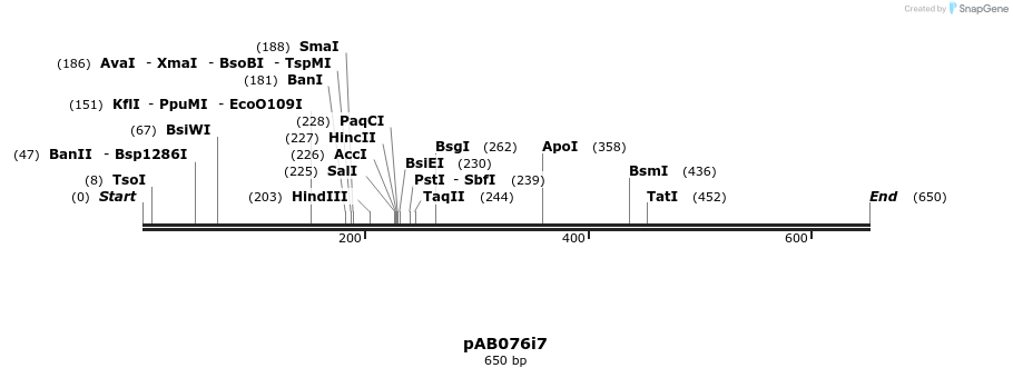 151098_map